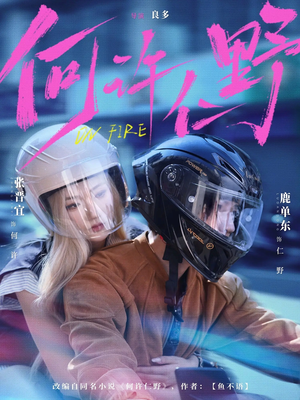 何许仁野(60集) 何许仁野(60集)免费全集短剧