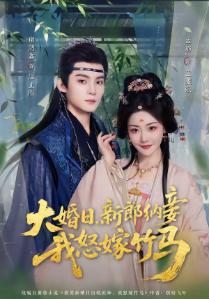 大婚日，新郎纳妾我怒嫁竹马（80集）河马免费短剧