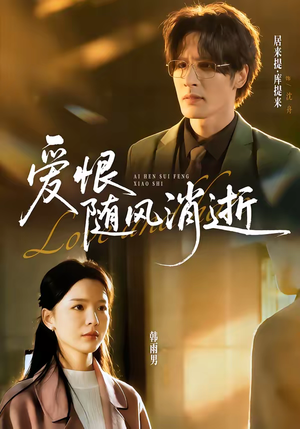 爱恨随风消逝（60集）80到100集