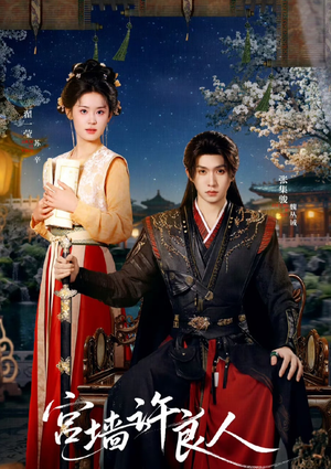 宫墙许良人（67集）真的太精彩了