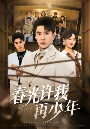 春光许我再少年（79集）口碑之选免费看