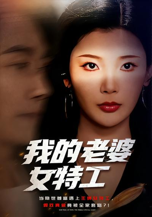 我的老婆女特工(62集) 我的老婆女特工(62集)短剧推荐更新中