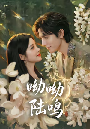 呦呦陆鸣（67集）热播短剧免费看