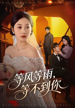 等风等雨，等不到你（65集）每天短剧分享