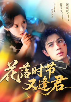 花落时节又逢君（61集）全季一次看完