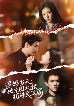 退婚当天：被京圈大佬拐进民政局（80集）短剧免费观看