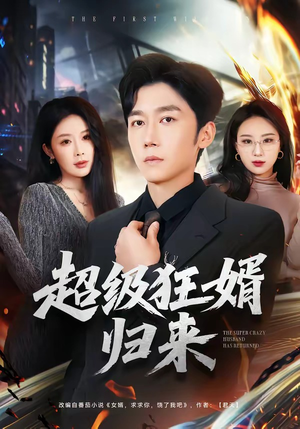 超级狂婿归来（81集）短剧分享剧集