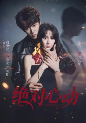 绝对心动（66集）一口气看完