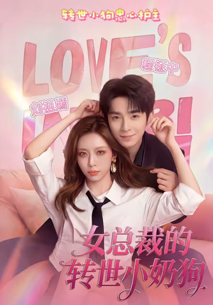 女总裁的转世小奶狗（30集）全集完整版