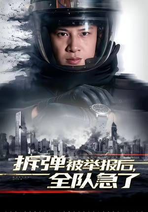 拆弹被举报后,全队急了(50集) 拆弹被举报后,全队急了(50集)推荐你们也去看