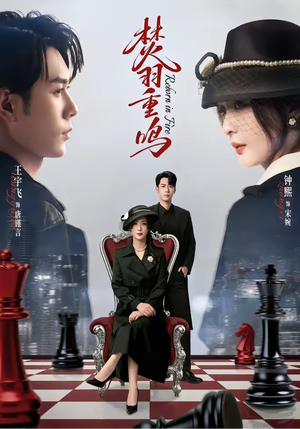 焚羽重鸣（60集）高分佳作免费看