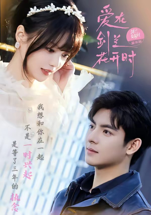 爱在剑兰花开时（56集）短剧推荐分享