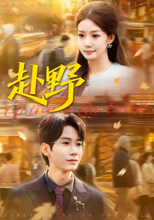 赴野（40集）好看上头短剧