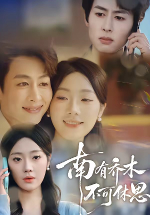 南有乔木，不可休思（68集）在线看免费版