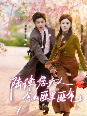 陆律，您夫人怎么匪里匪气（60集）在线免费观看