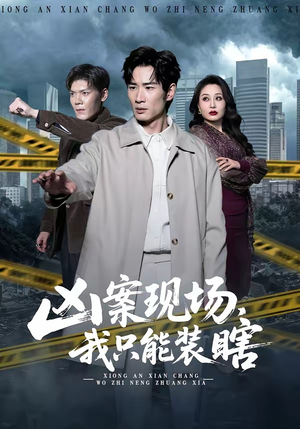 凶案现场，我只能装瞎（72集）短剧有好货推荐