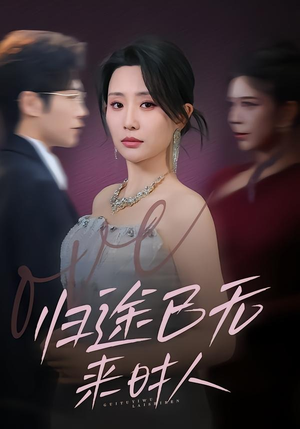 归途已无来时人（70集）好看的短剧分享