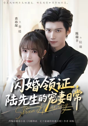 闪婚领证，陆先生的宠妻日常（86集）百度在线观看