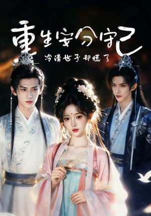 重生安分守己（13集）短剧演员排行榜