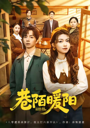 巷陌暖阳（80集）推荐热门短剧