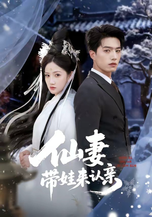 仙妻带娃来认亲（66集）在线观看