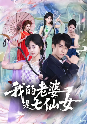 我的老婆是七仙女（57集）短剧越看越精彩