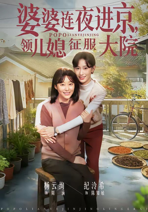 婆婆连夜进京，领儿媳征服大院（78集）剧好看短剧推荐