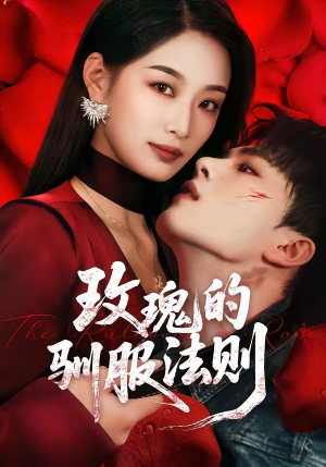 玫瑰的驯服法则（65集）免费观看完整版