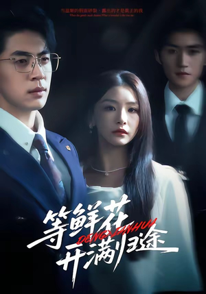 等鲜花开满归途（61集）热门爆款短剧