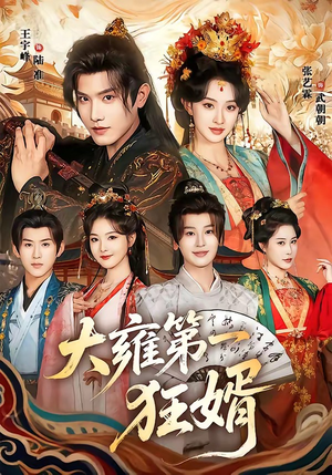 大雍第一狂婿（90集）精彩短剧追不停