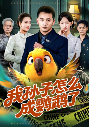 我孙子怎么成鹦鹉了（71集）精彩短剧追不停