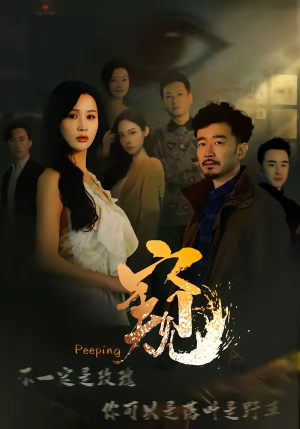 窥（37集）短剧抢先看