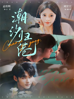 潮汐归港（66集）在线免费观影