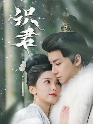 识君（59集）高分佳作免费看