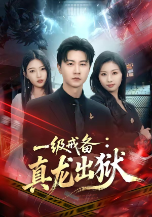 一级戒备：真龙出狱（73集）好看又上头短剧