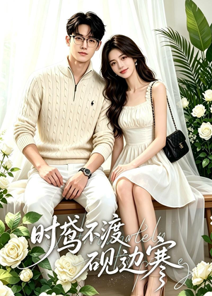 时鸢不渡砚边寒（41集）集免费看短剧