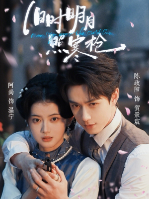 旧时明月照寒枪（62集）热门短剧大全