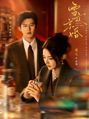 雪夜京婚（84集）怎么看全集