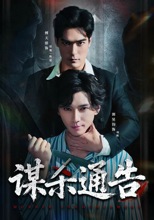 谋杀通告（81集）好看吗