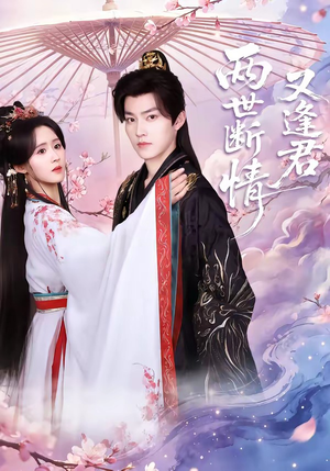 两世断情又逢君（71集）在线看到大结局