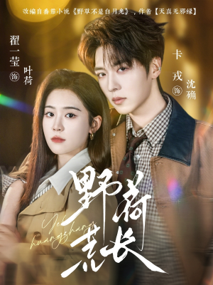 野荷荒长（86集）追短剧太上头了