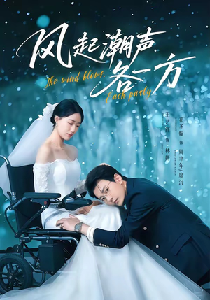 风起潮声各一方（84集）好看短剧又来了