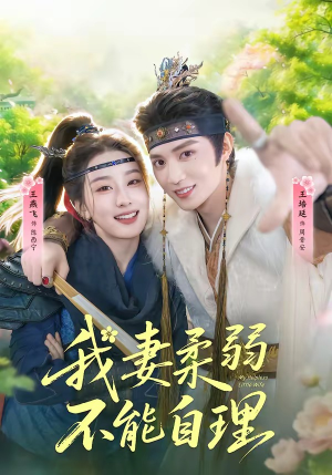 我妻柔弱不能自理（72集）热播短剧免费看