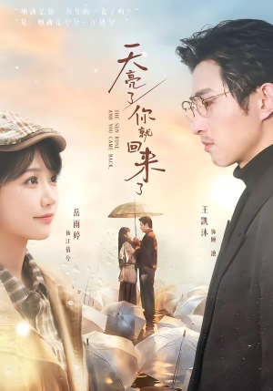 天亮了，你就回来了（63集）观看软件
