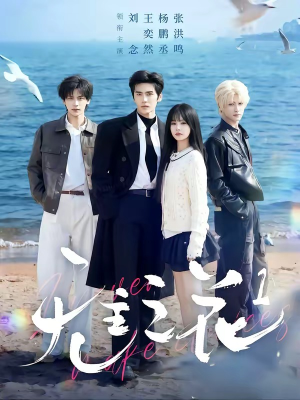 无主之花1（72集）高分推荐免费看