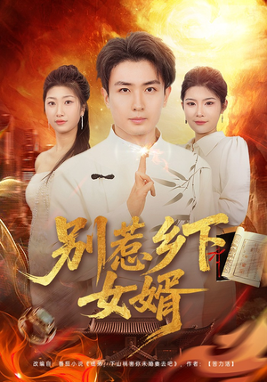 别惹乡下女婿（80集）全集一网打尽