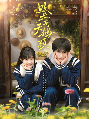 败犬与天鹅颈（71集）在线观看全集