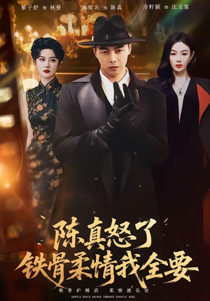 陈真怒了铁骨柔情我全要（74集）在线看免费版