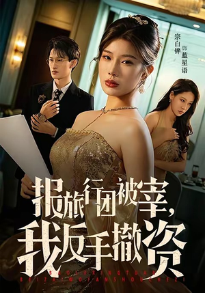 报旅行团被宰，我反手撤资（59集）一共多少集