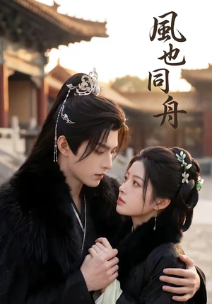 风也同舟（38集）短剧追不停